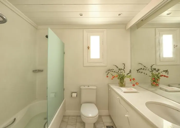 Galaxy Mykonos فيلة فتيليا